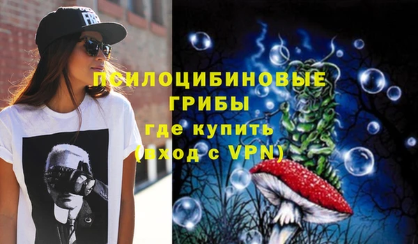 гидропоника Алексеевка