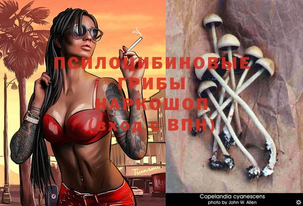 гашик Покров
